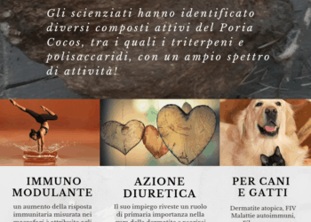 Poria Cocos cane gatto