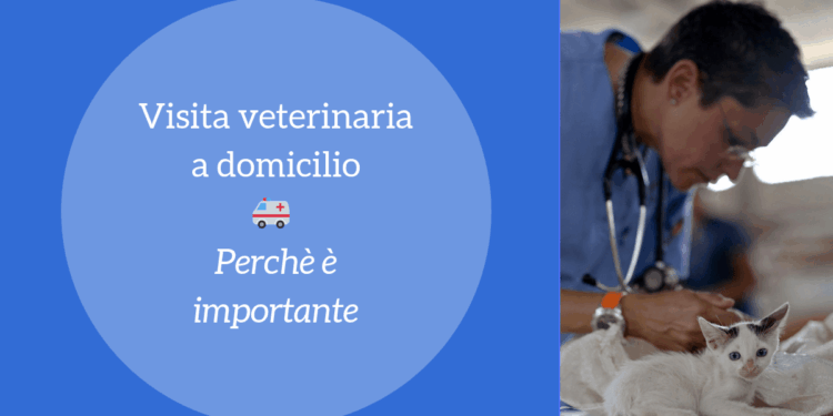Visita veterinaria a domicilio