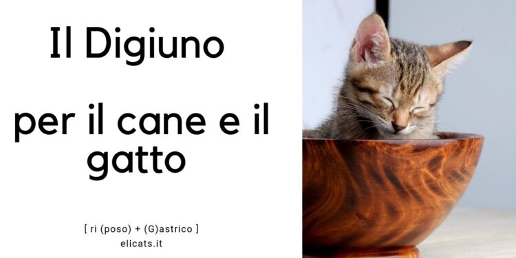 Digiuno per il cane e il gatto