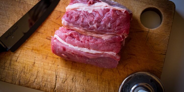 Alimentazione cane dieta BARF