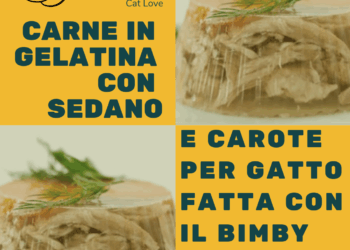 pet food gatto Bimby