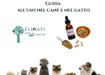 Echinacea in veterinaria