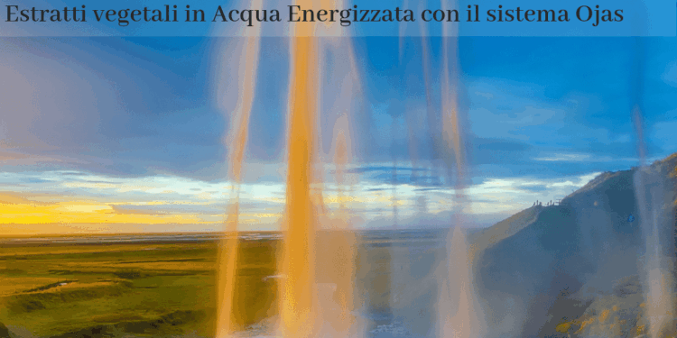 Estratti vegetali in Acqua Energizzata con il sistema Ojas