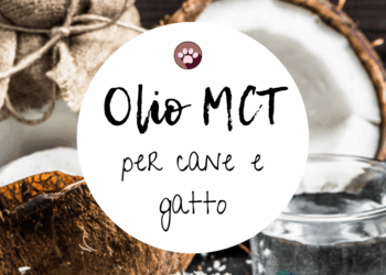 Olio MCT cane gatto