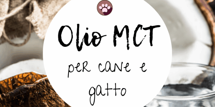 Olio MCT cane gatto