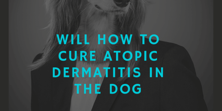 Dermatitis atopic dog