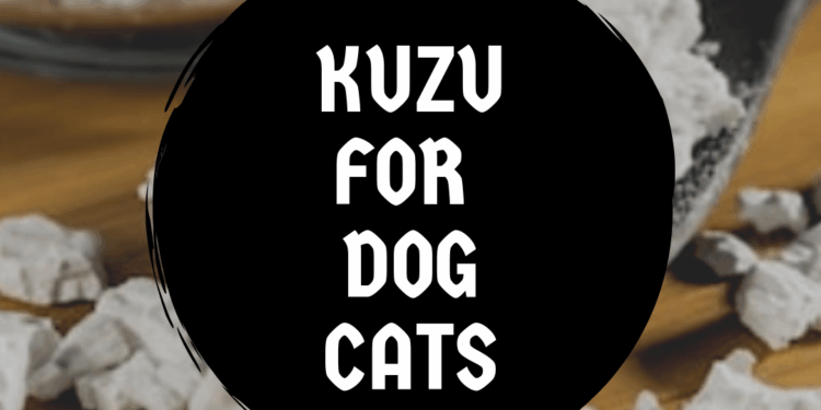 Kuzu dogs cats