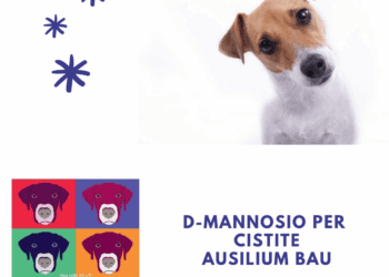 D-mannosio cane cistite