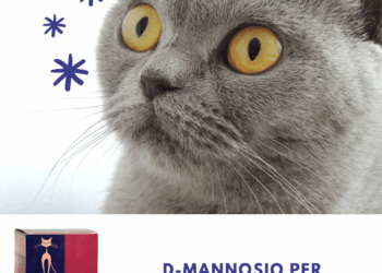 D-mannosio gatto cistite