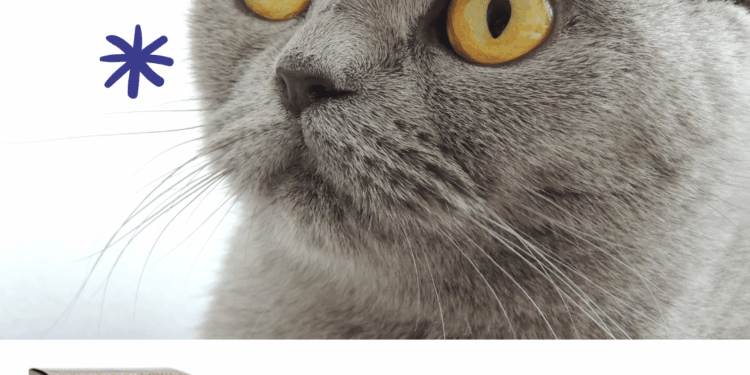 D-mannosio gatto cistite