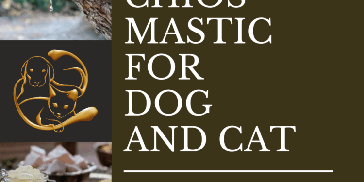 CHIOS MASTIC DOG CAT