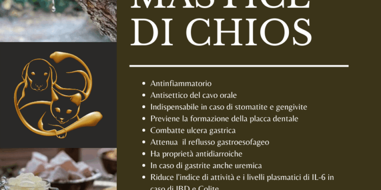 mastice di chios cane gatto