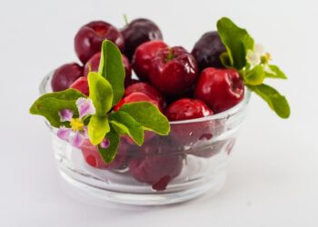 Acerola for dogs and cats Properties and Indications