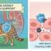 AIM Therapy and Cat’s Kidneys: 2025 Guide to Trials, Drugs and Scientific Truths