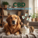 Cannabidiol (CBD) in Veterinary Medicine (2026 Update)