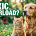 Dog and Cat Detox 13 Nutrients for Liver and Kidney Health