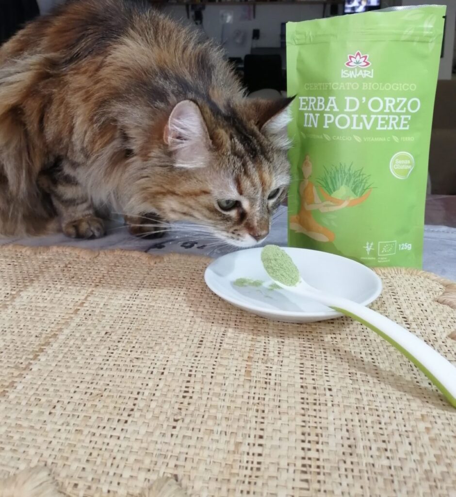 Barley Grass for Dogs and Cats